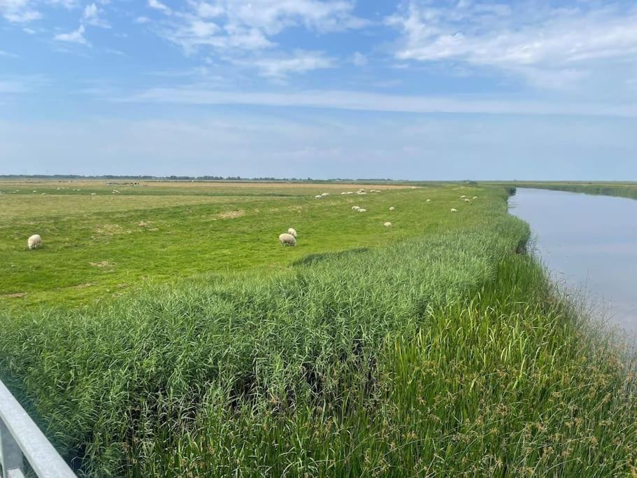 Deichbrise Villa Aventoft Exteriör bild